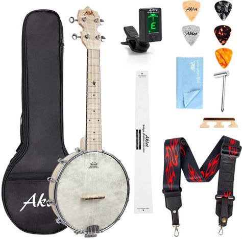 Top 8 Best Banjo Brands - Get the Best Banjo for Your Money