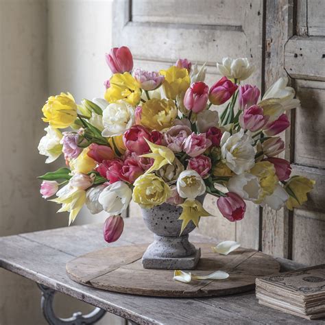 Growing, Cutting & Arranging Tulips - Flower Magazine