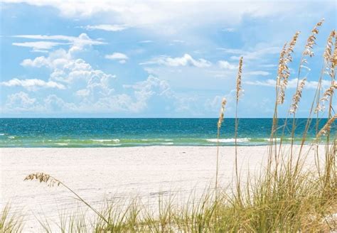 The Best Beaches In Tampa Area, FL | CuddlyNest