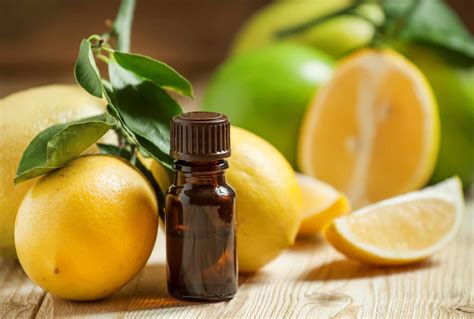 5 Uses For Lemon Essential Oil - Natural Working Moms