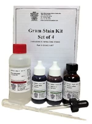 Buy Gram's Stain Kit, Set of 4 Online at desertcartUAE