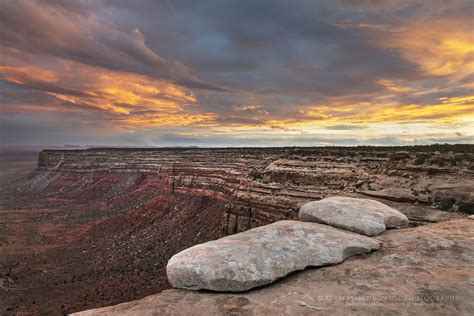 Cedar Mesa Bears Ears National Monument - Alan Majchrowicz Photography