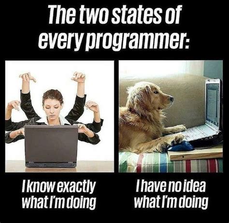 Coding Humor Programmer Humor Rewrite Computer Progra - vrogue.co