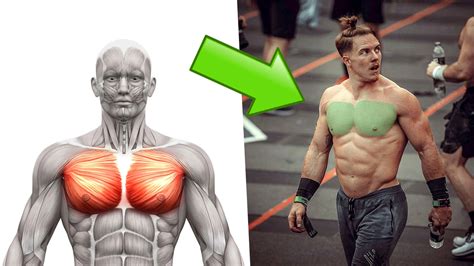 The Perfect Chest Workout in Only 20 Minutes (for Muscle and Mass) | BOXROX