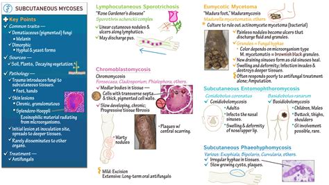 NSG: A601 Advanced Pathophysiology: Subcutaneous Mycoses (Lymphocutaneous sporotrichosis ...