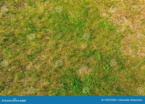 View of Rough Natural Soil. Yellow Sand and Green Grass Texture ...