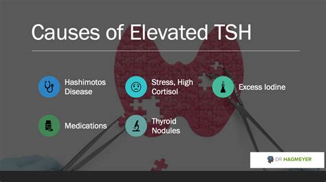 5 Causes of Your High TSH in Woman (Hypothyroidism)- That No One Is Talking About | Dr. Hagmeyer