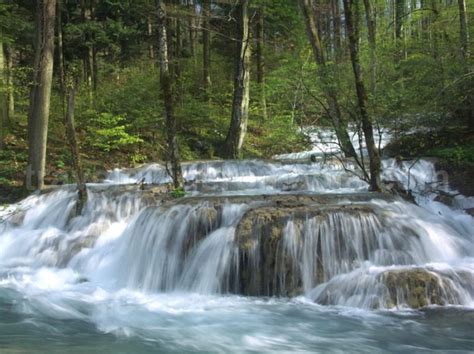 Top 10 Most Beautiful Waterfalls in Romania - toplist.info