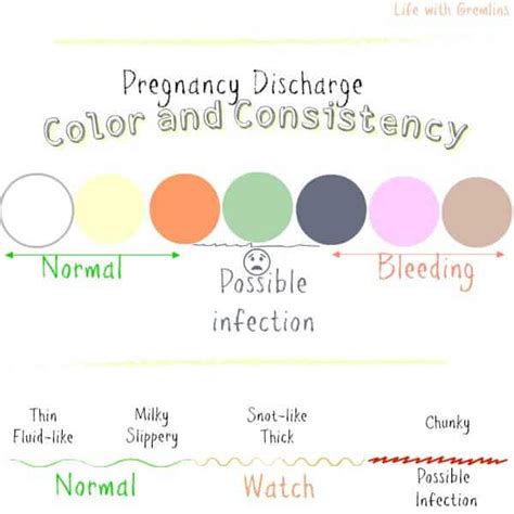 Discharge During Pregnancy: Color and Consistency Causes