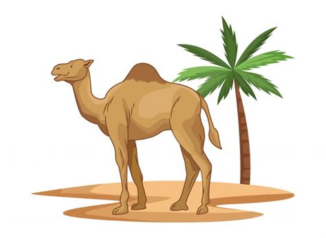 Camel Head Vector at Vectorified.com | Collection of Camel Head Vector ...