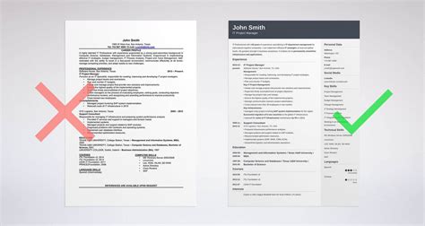 5 Best Resume Formats with Examples For 2024