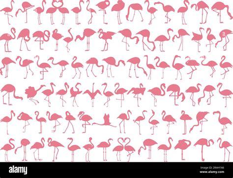 Flamingo silhouette hi-res stock photography and images - Alamy