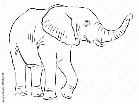 illustration of elephant, vector drawing vector de Stock | Adobe Stock