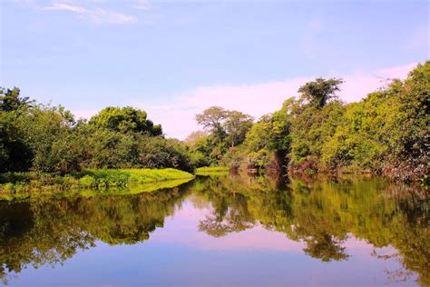 Mato Grosso – The largest wetlands in the world | Brol.com