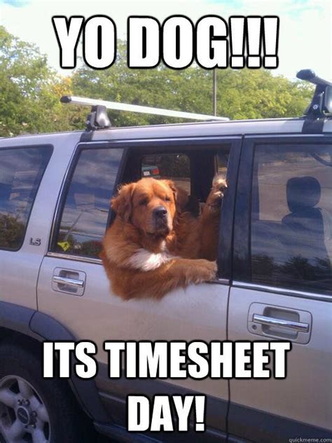 timesheets funny - Google Search | Dogs, Dog memes, Animals