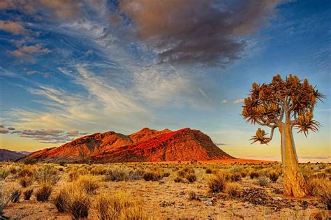 7 Deserts That Used to Be Verdant Fields and Forests