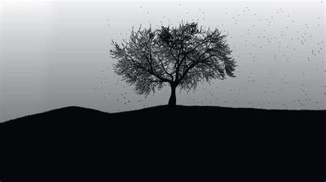 Black Tree Wallpapers - Wallpaper Cave