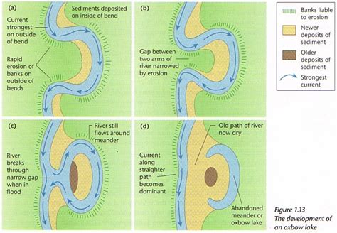 Multi-purpose Oxbows Make the Grade for Nutrient Reduction | College of Agriculture and Life ...