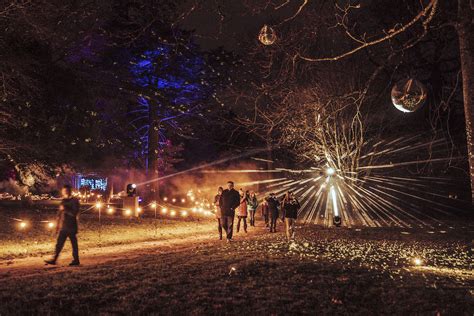 Gallery for Luminate Sandringham Light Trail at Sandringham Estate, Norfolk