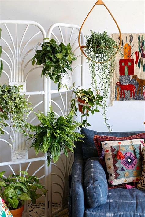 The Joy Of Hanging Plants In Your Living Room – HomeDecorish