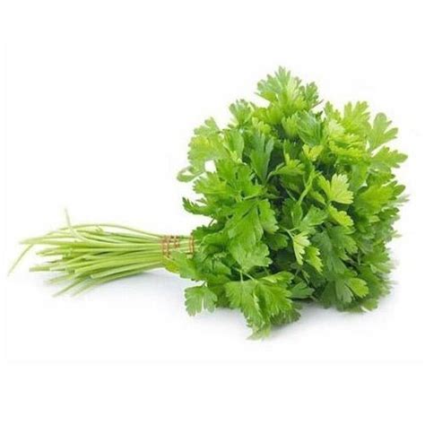 Coriander Malli Leaves 100 gm – Shysha