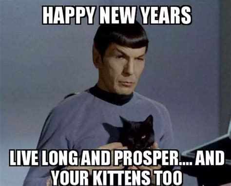 100+ Happy New Year Cat Memes 2024 - QuotesProject.Com