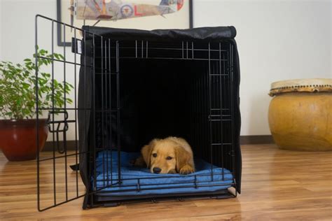 The Best Dog Crate Covers - Reviews And Top Choices