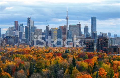 Toronto 2014 Fall Colors Stock Photo | Royalty-Free | FreeImages