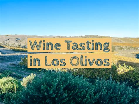 8+ of the Best Wineries in Los Olivos, California: The Ultimate Wine ...