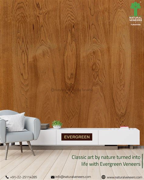 Evergreen Veneers... | Veneers, Wood veneer, Interior design