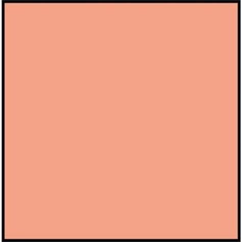 Salmon Color Paint - Paint Color Ideas