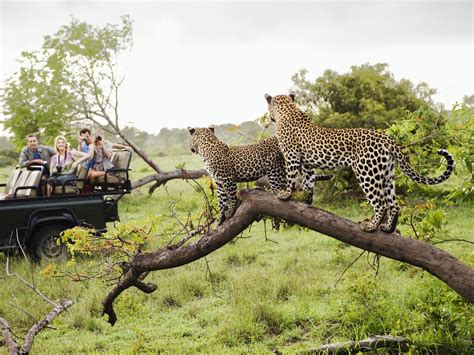 The Best Places To Stay In Kruger National Park - Complete Guide