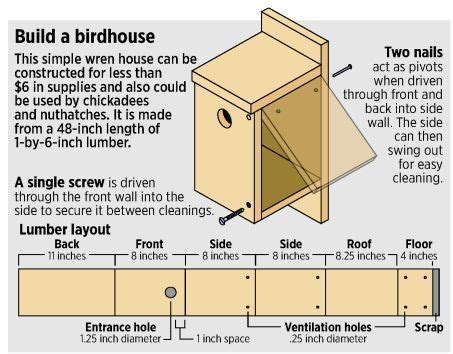 Purple Finch Bird House Plans - House Decor Concept Ideas