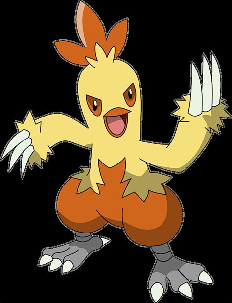 Pokemon 256 Combusken Pokedex: Evolution, Moves, Location, Stats