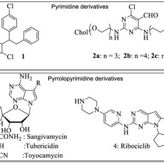 Representative examples of pyrimidine and pyrrolopyrimidine derivatives. | Download Scientific ...