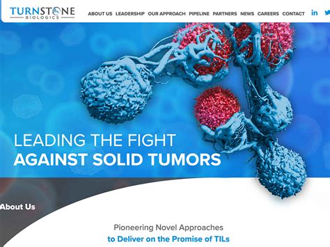 T-Cell Transfer Therapy Targeting Mutant KRAS in Cancer - Leading the Fight Against Solid Tumors ...