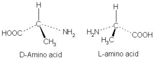 What is the Difference Between L and D Amino Acids - Pediaa.Com