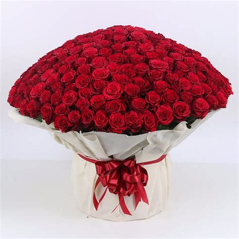 Flower Bouquet Images Photos | Best Flower Site