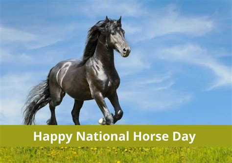 National horse day (National horse day 2021)