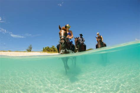 The 10 best things to do in the Turks and Caicos Islands