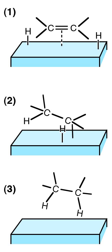 Hydrogenation | Introduction to Chemistry