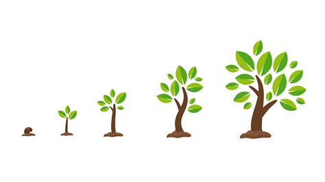 ensemble de croissance de plantes ou d'arbres - Telecharger Vectoriel Gratuit, Clipart Graphique ...