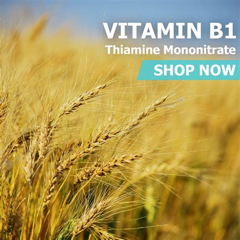 Vitamin B1 - Thiamine Mononitrate - Health Supplements - PureBulk, Inc.