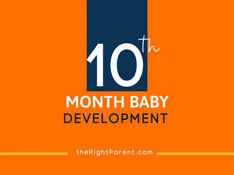 Infant Development: 10-month-Old Baby Care and Tips - TheRightParent