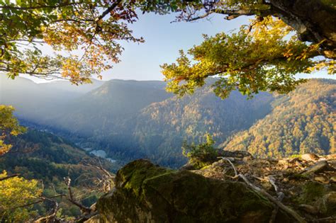 7 maravillosos parques nacionales de Alemania - Mi Viaje