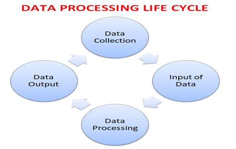 Data processing life cycle stages and types - Know Computing