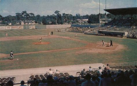 Clearwater Stadium Florida Postcard