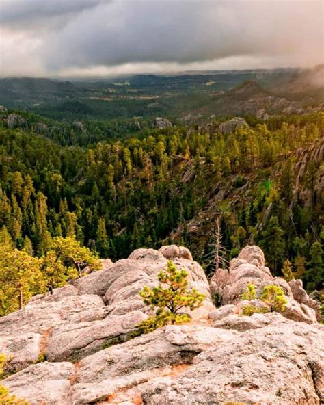 Black Hills National Forest | VisitRapidCity.com