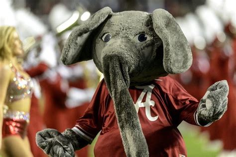 Big Al: The evolution of the Alabama mascot's look throughout the years ...