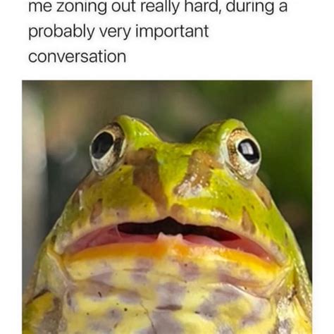 10 Frog Memes You'll Find Ribbiting